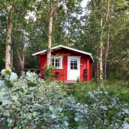 Bakkakot 3 Cozy Cabin In The Woods Akureyri Eksteriør bilde