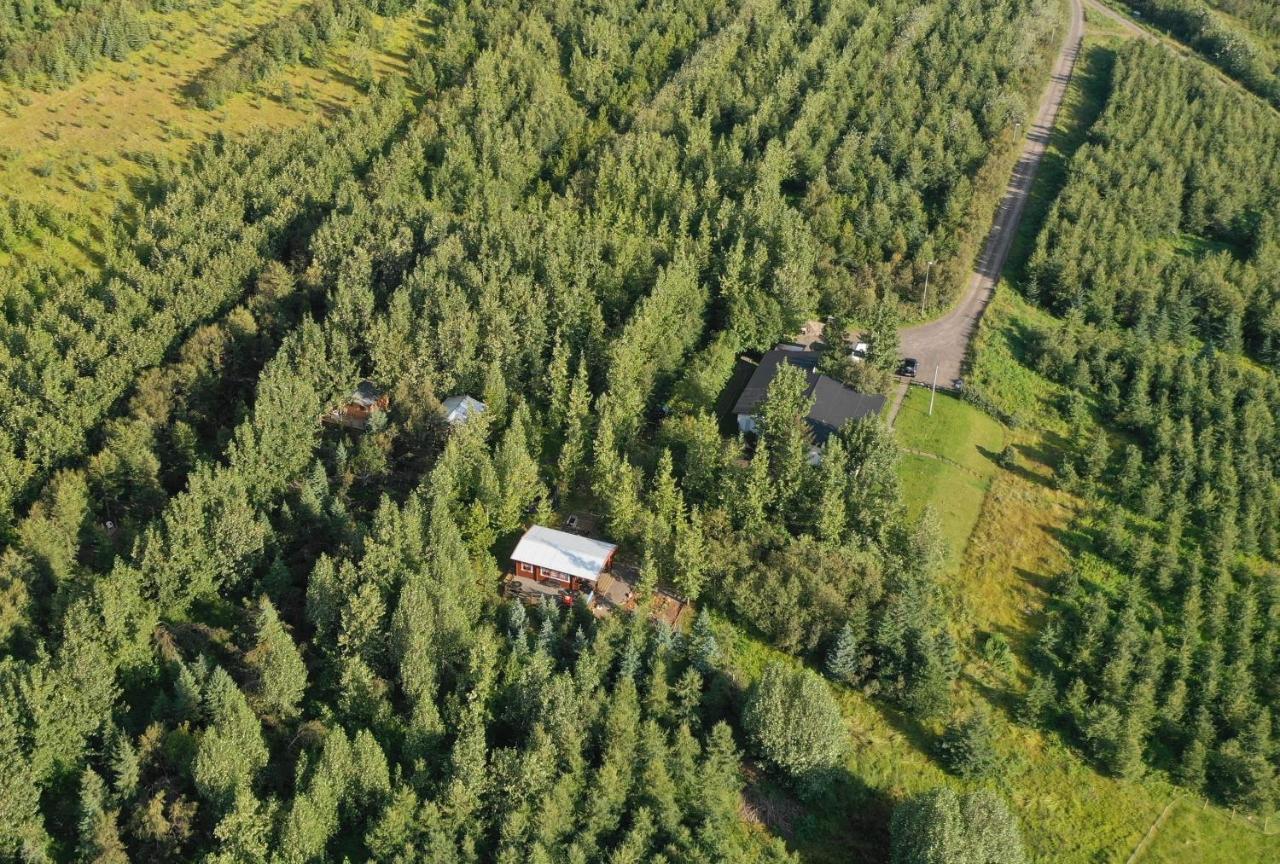 Bakkakot 3 Cozy Cabin In The Woods Akureyri Eksteriør bilde