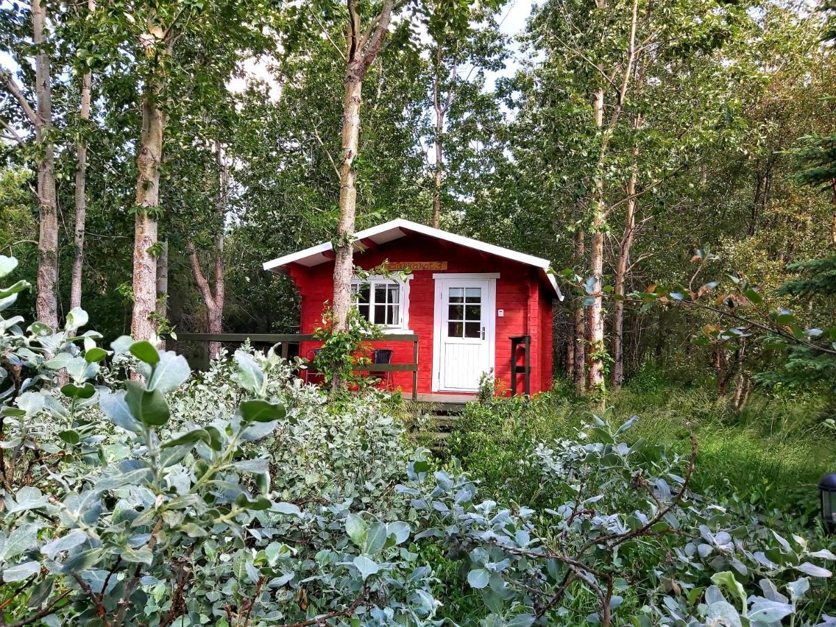 Bakkakot 3 Cozy Cabin In The Woods Akureyri Eksteriør bilde