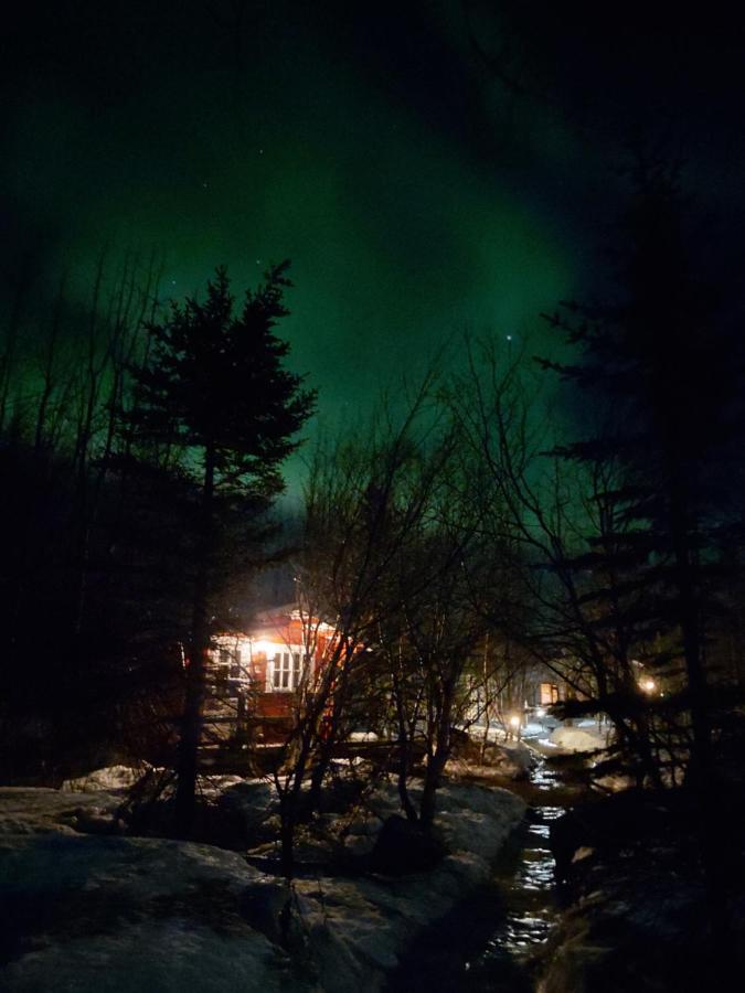 Bakkakot 3 Cozy Cabin In The Woods Akureyri Eksteriør bilde